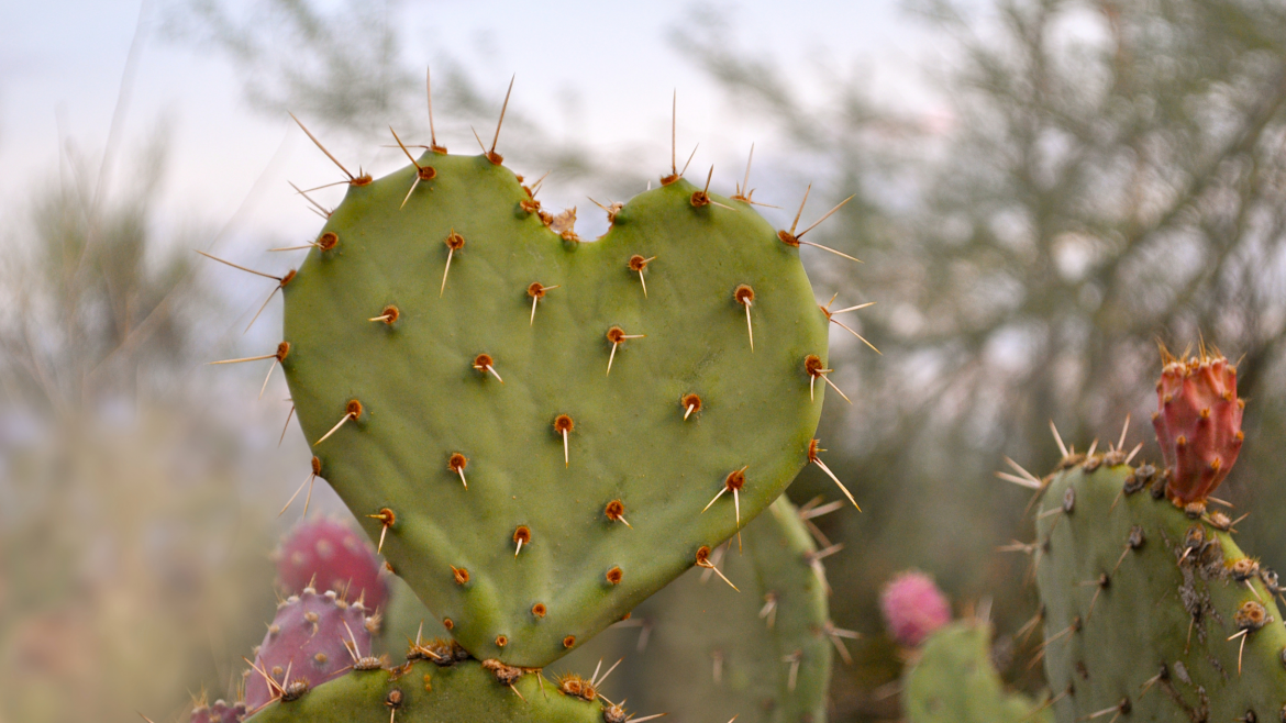 The practice of Self-Love